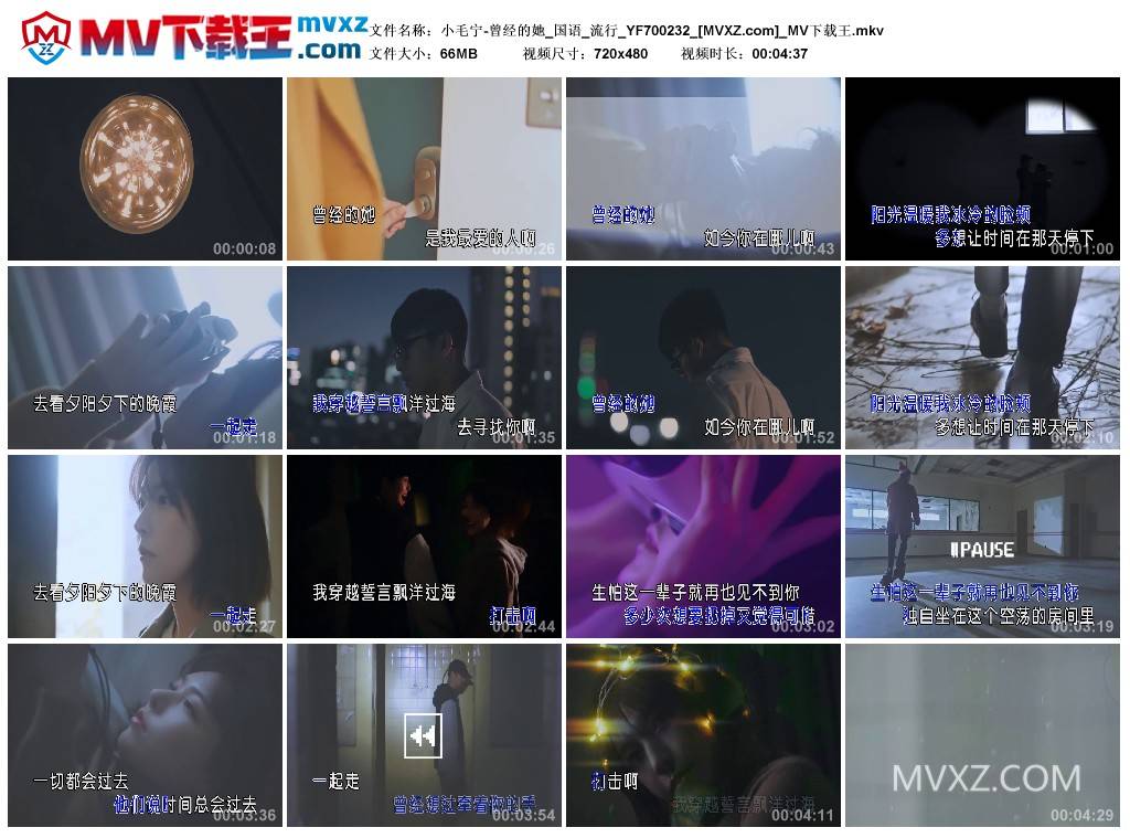 小毛宁-曾经的她_国语_流行_YF700232
